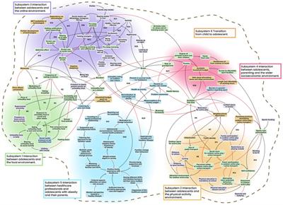 Understanding the system dynamics of obesity-related behaviours in 10- to 14-year-old adolescents in Amsterdam from a multi-actor perspective